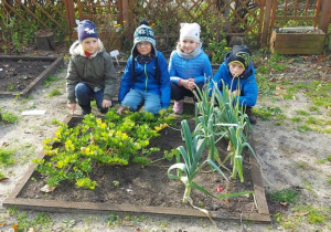 Dzieci oglądają warzywa w przedszkolnym ogródku.